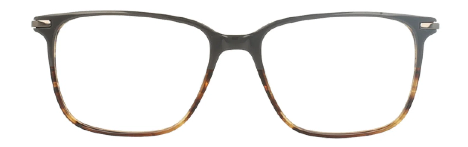 Argyleculture ARBRIDGER Eyeglasses - view 8